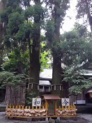 高千穂神社の自然