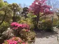 岩之上堂の自然