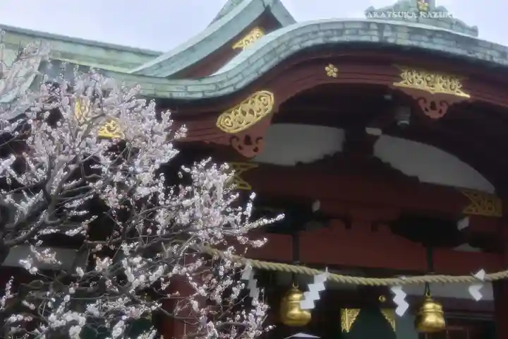 亀戸天神社(東京都)