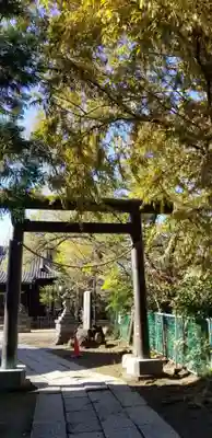 真間稲荷神社の鳥居