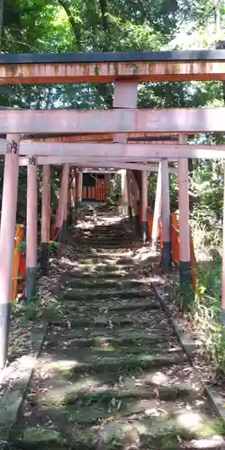 早尾神社の鳥居