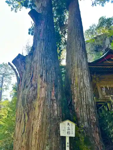 榛名神社(群馬県)
