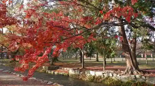 賀茂別雷神社（上賀茂神社）の庭園