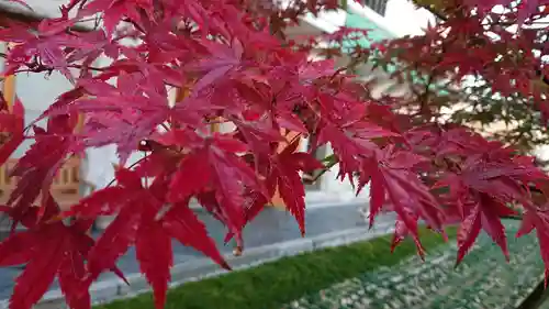 寿量山　速成寺の自然