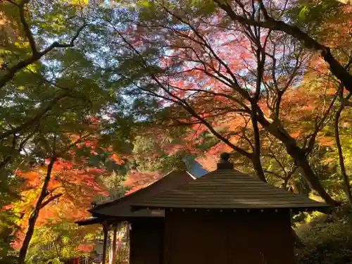 普門寺(切り絵御朱印発祥の寺)のその他建物