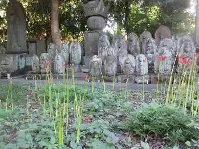 宝蔵院(東京都)