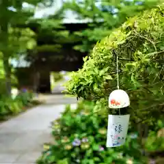 陽林寺の建物その他