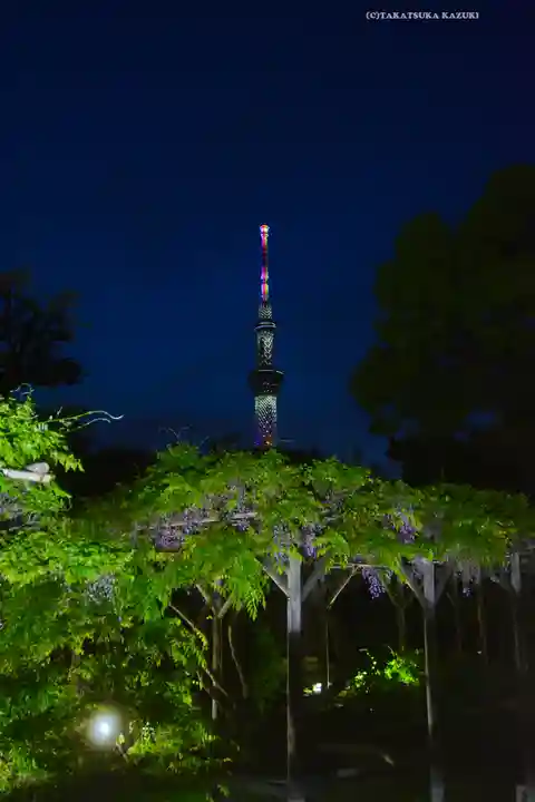 亀戸天神社(東京都)