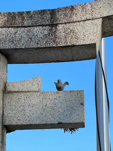 川越八幡宮(埼玉県)