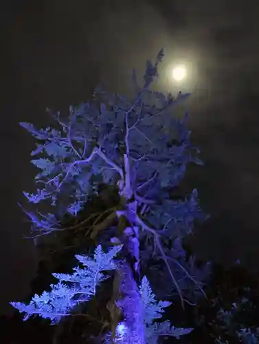 滑川神社 - 仕事と子どもの守り神(福島県)