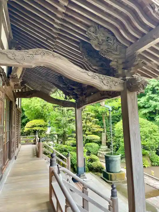 本蓮寺の本殿・本堂