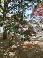 厚別神社(北海道)