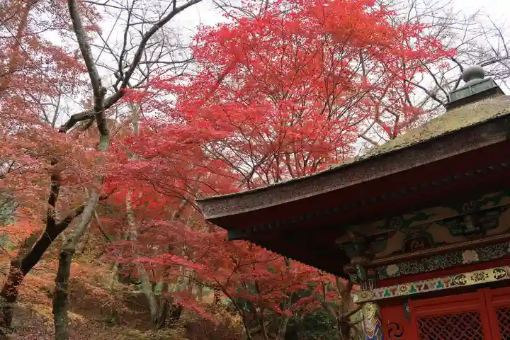 園城寺(三井寺)(滋賀県)