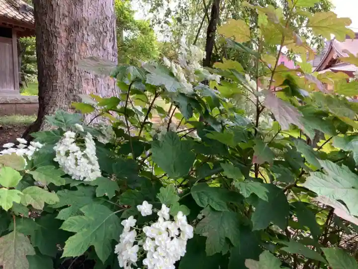 菅原神社の自然