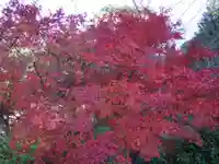 瑞松庵(山口県)