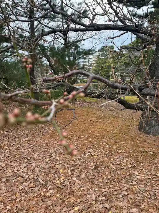 建仁寺(建仁禅寺)(京都府)