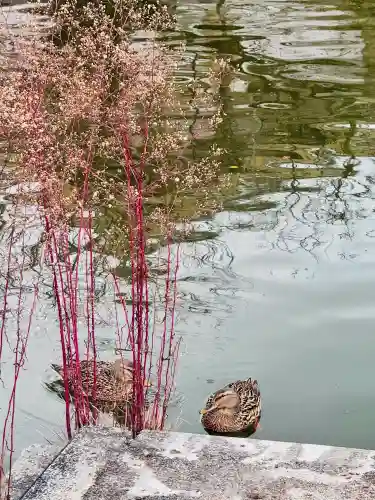 東寺（教王護国寺）の{uncategorized: "未分類", other: "その他", undefined: "問題あり", building: "その他建物", grave: "お墓", sacred_gate: "鳥居", guardian: "狛犬", statue: "像", buddha: "仏像", history: "歴史", nature: "自然", garden: "庭園", animal: "動物", pagoda: "塔", temizu: "手水舎", mountain_gate: "山門・神門", sanctuary: "本殿・本堂", subordinate: "末社・摂社", art: "芸術", scenery: "景色", jizo: "地蔵", ema: "絵馬", goshuin: "御朱印", omikuji: "おみくじ", items: "授与品その他", amulet: "お守り", goshuincho: "御朱印帳", eats: "食事", festival: "お祭り", votive_dance: "神楽", shichigosan: "七五三参", wedding: "結婚式", experience: "体験その他", initially: "初詣", around: "周辺", anti_infection: "感染症対策"}