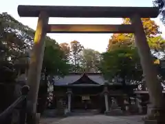 素鵞熊野神社の鳥居