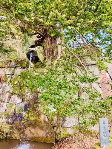 土津神社｜こどもと出世の神さまの庭園