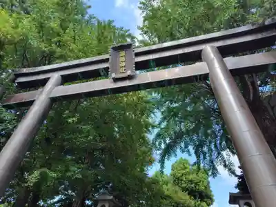 諏訪神社(東京都)