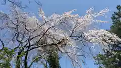 志都岐山神社(山口県)