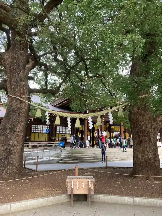 明治神宮(東京都)