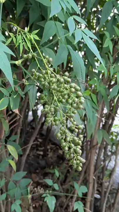京都大神宮(京都府)
