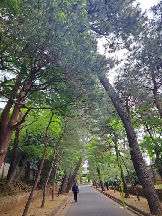 豪徳寺(東京都)