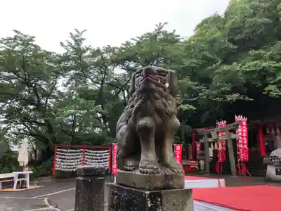徳島眉山天神社の狛犬