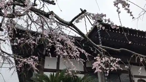 本性寺の自然