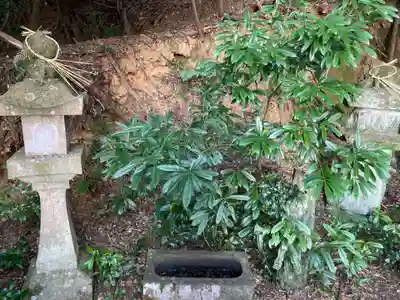 八坂神社(徳島県)