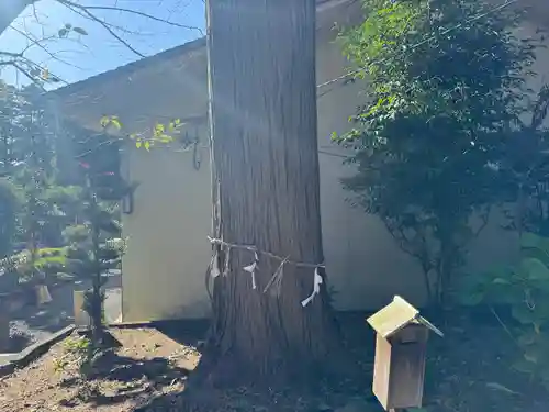 伊奈冨神社(三重県)