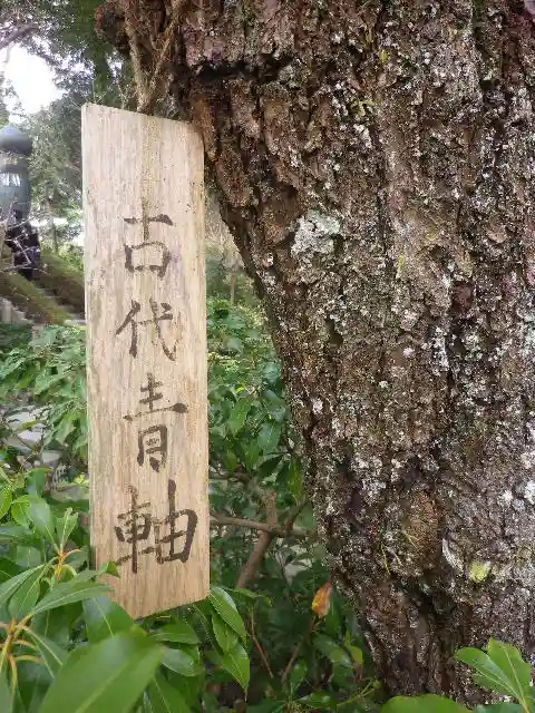 荏柄天神社のその他建物