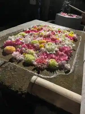 紅葉八幡宮の手水舎