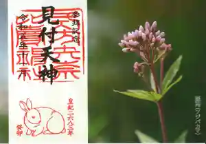 矢奈比賣神社(見付天神)の御朱印 2023年11月01日(水)〜(2023年10月29日(日) 15時36分38秒投稿)