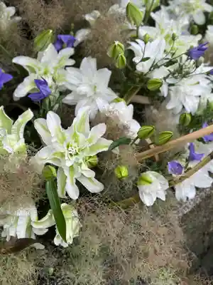 今宮神社(京都府)
