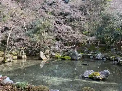 蓮華寺（洛北蓮華寺）(京都府)