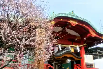 亀戸天神社(東京都)