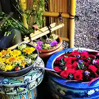 札幌護國神社の手水舎