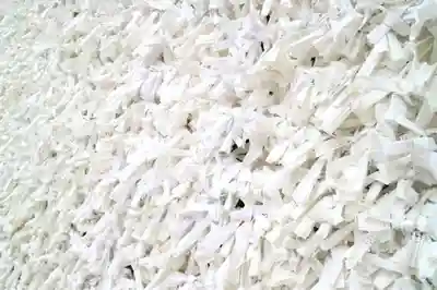 武蔵一宮氷川神社のおみくじ