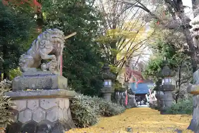神炊館神社 ⁂奥州須賀川総鎮守⁂の狛犬