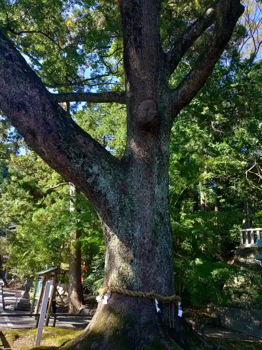 事任八幡宮(静岡県)
