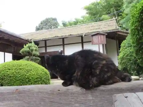 長岳寺(奈良県)