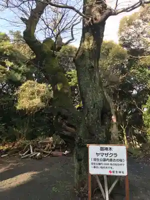 埴生神社(福岡県)
