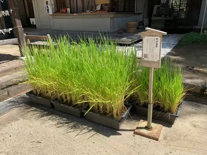 常陸國總社宮(茨城県)