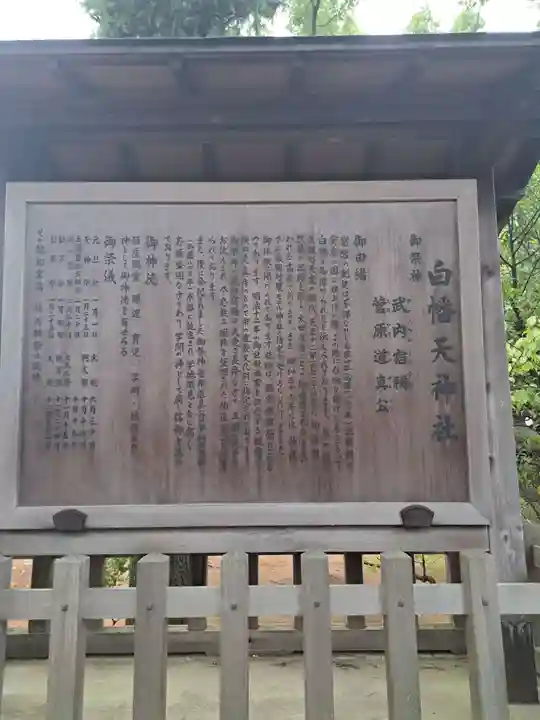 白幡天神社(千葉県)