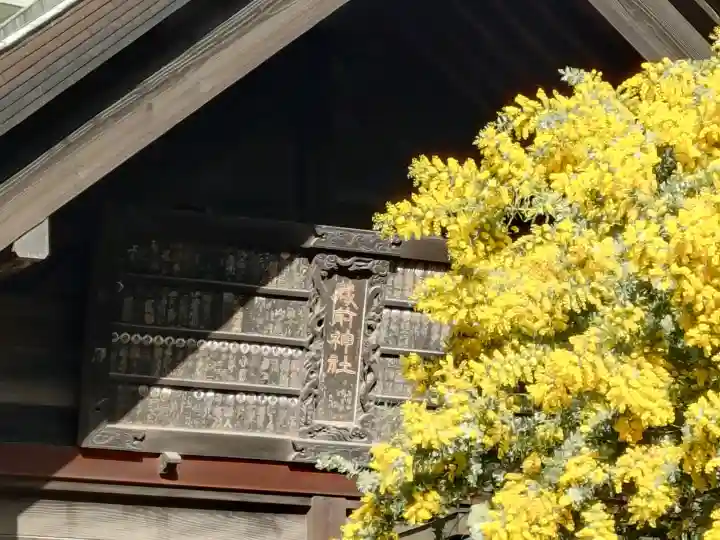 蔵前神社の{uncategorized: "未分類", other: "その他", undefined: "問題あり", building: "その他建物", grave: "お墓", sacred_gate: "鳥居", guardian: "狛犬", statue: "像", buddha: "仏像", history: "歴史", nature: "自然", garden: "庭園", animal: "動物", pagoda: "塔", temizu: "手水舎", mountain_gate: "山門・神門", sanctuary: "本殿・本堂", subordinate: "末社・摂社", art: "芸術", scenery: "景色", jizo: "地蔵", ema: "絵馬", goshuin: "御朱印", omikuji: "おみくじ", items: "授与品その他", amulet: "お守り", goshuincho: "御朱印帳", eats: "食事", festival: "お祭り", votive_dance: "神楽", shichigosan: "七五三参", wedding: "結婚式", experience: "体験その他", initially: "初詣", around: "周辺", anti_infection: "感染症対策"}