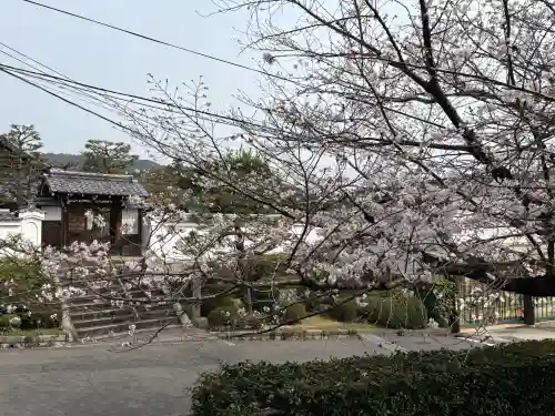 くろ谷 金戒光明寺の{uncategorized: "未分類", other: "その他", undefined: "問題あり", building: "その他建物", grave: "お墓", sacred_gate: "鳥居", guardian: "狛犬", statue: "像", buddha: "仏像", history: "歴史", nature: "自然", garden: "庭園", animal: "動物", pagoda: "塔", temizu: "手水舎", mountain_gate: "山門・神門", sanctuary: "本殿・本堂", subordinate: "末社・摂社", art: "芸術", scenery: "景色", jizo: "地蔵", ema: "絵馬", goshuin: "御朱印", omikuji: "おみくじ", items: "授与品その他", amulet: "お守り", goshuincho: "御朱印帳", eats: "食事", festival: "お祭り", votive_dance: "神楽", shichigosan: "七五三参", wedding: "結婚式", experience: "体験その他", initially: "初詣", around: "周辺", anti_infection: "感染症対策"}