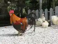 石上神宮(奈良県)