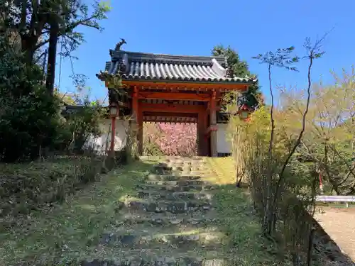 海住山寺の山門